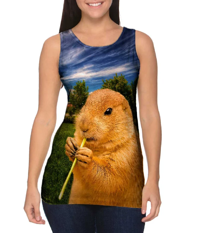 Halter Neck Women's Modal Blend Tank Tops for ComfortCloudy Beaver Chew